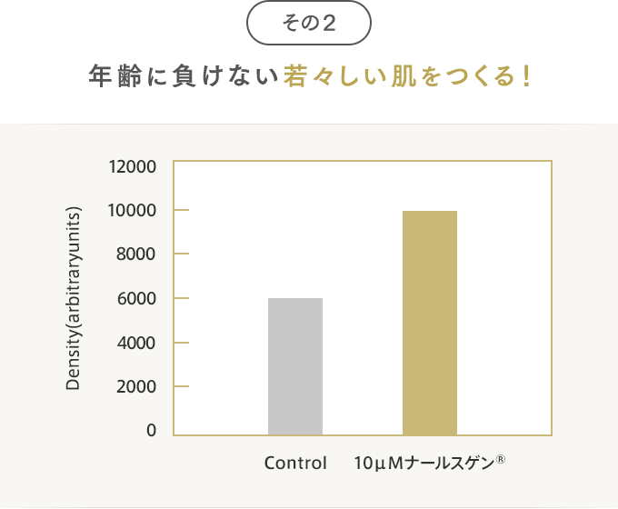 年齢に負けない若々しい肌をつくる！