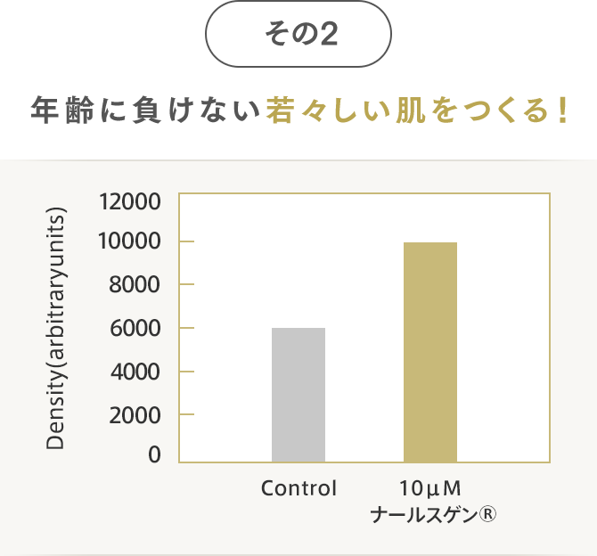 年齢に負けない若々しい肌をつくる！